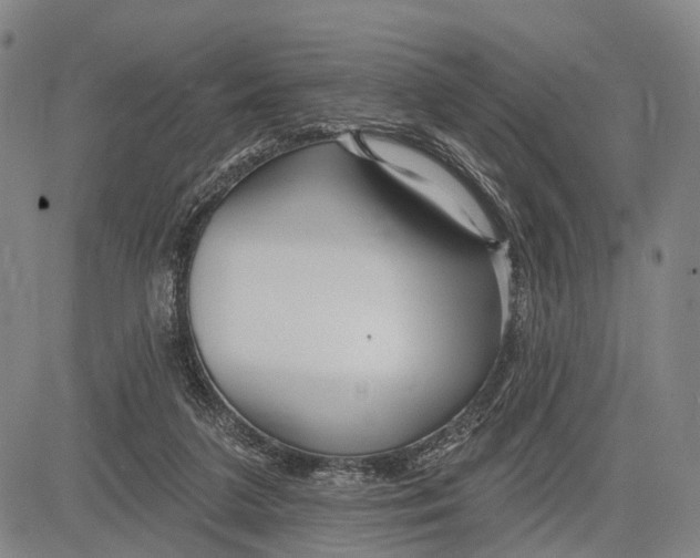 X0000083610211200703051552