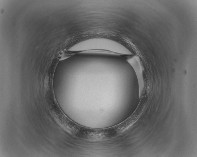 X0000083610213200703051552