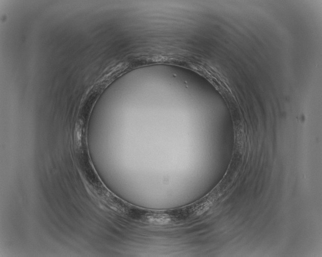 X0000083610214200703051552