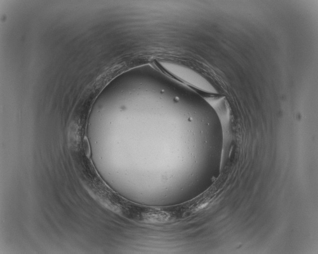 X0000083610215200703051552