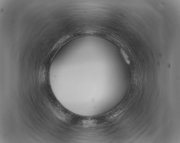 X0000083610216200703051552