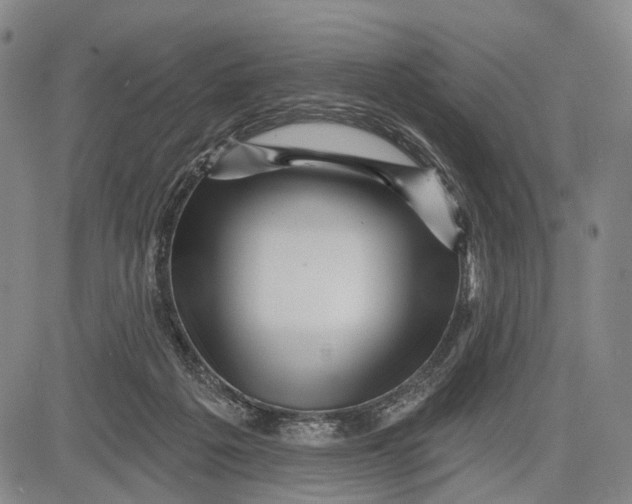 X0000083610217200703051552