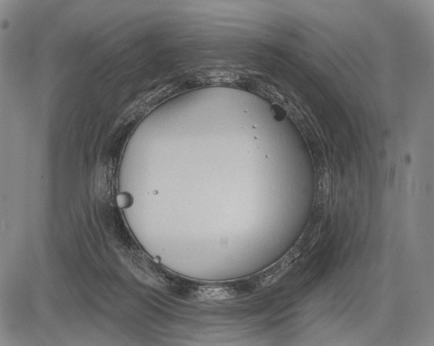 X0000083610218200703051552