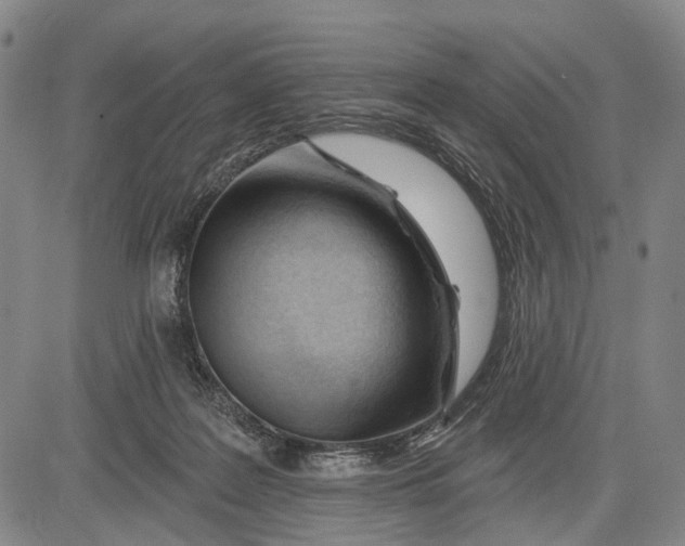 X0000083610219200703051552