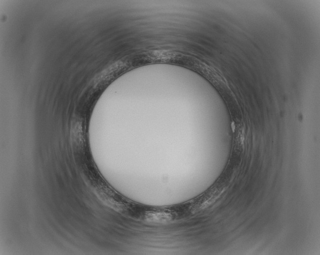 X0000083610220200703051552