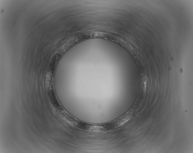 X0000083610222200703051551