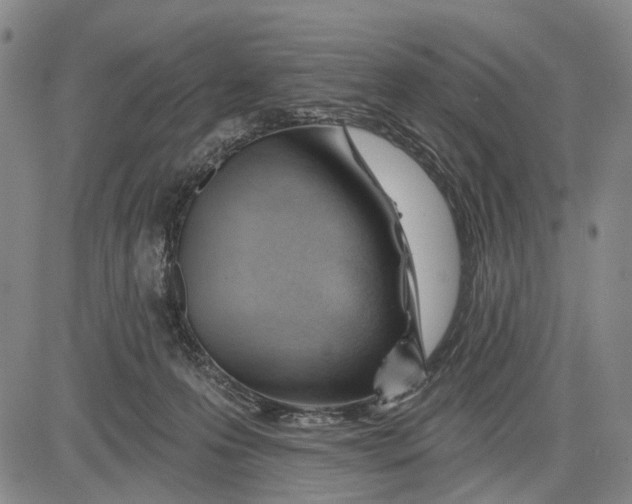 X0000083610223200703051551