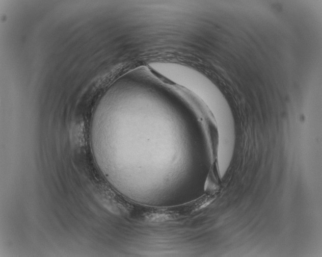 X0000083610224200703051551