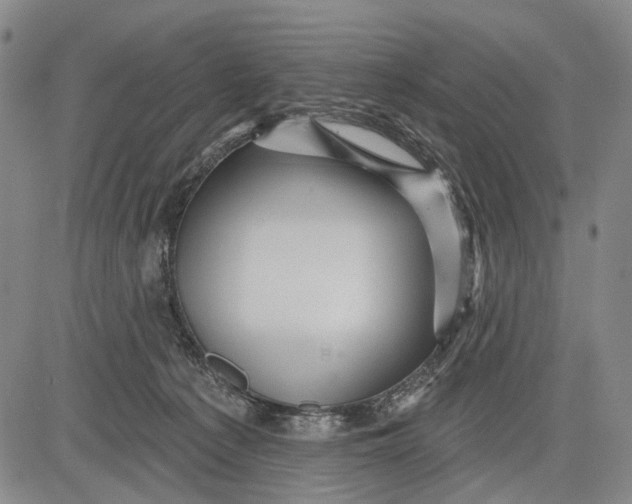 X0000083610225200703051551