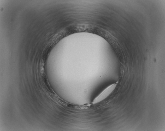 X0000083610226200703051551