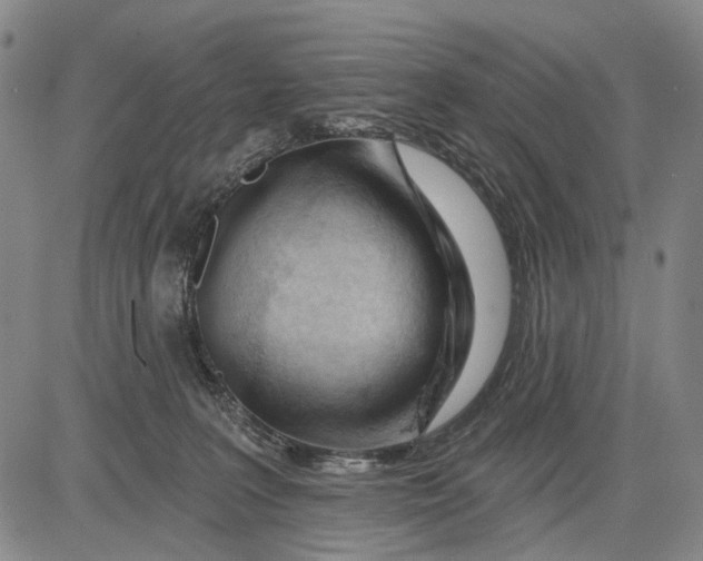 X0000083610227200703051551