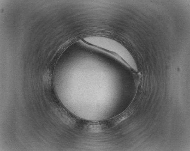 X0000083610228200703051551