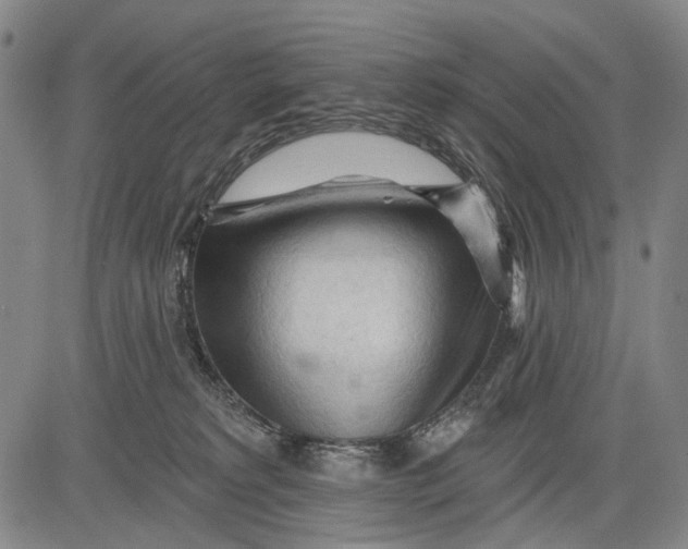 X0000083610229200703051551