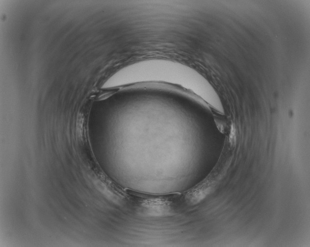 X0000083610231200703051551