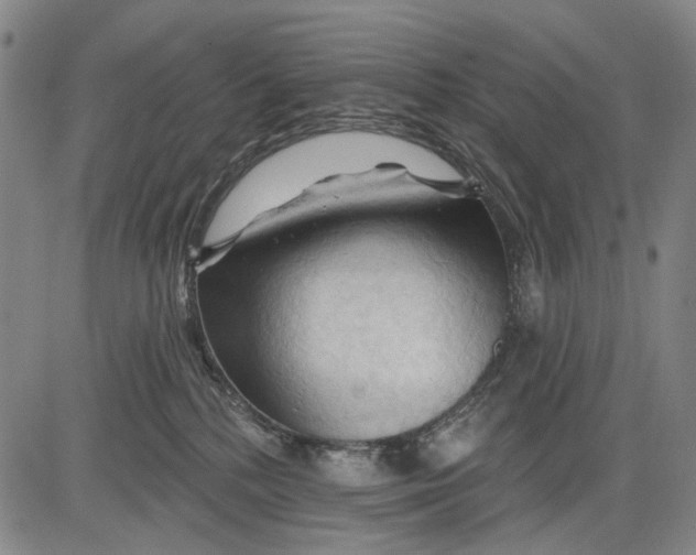 X0000083610232200703051551