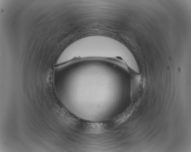 X0000083610233200703051551