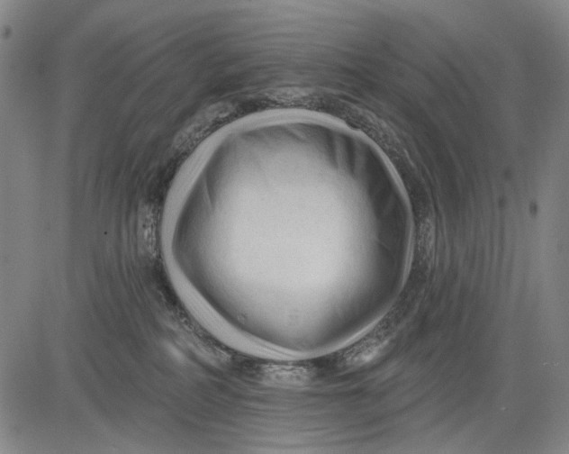 X0000083610234200703051551