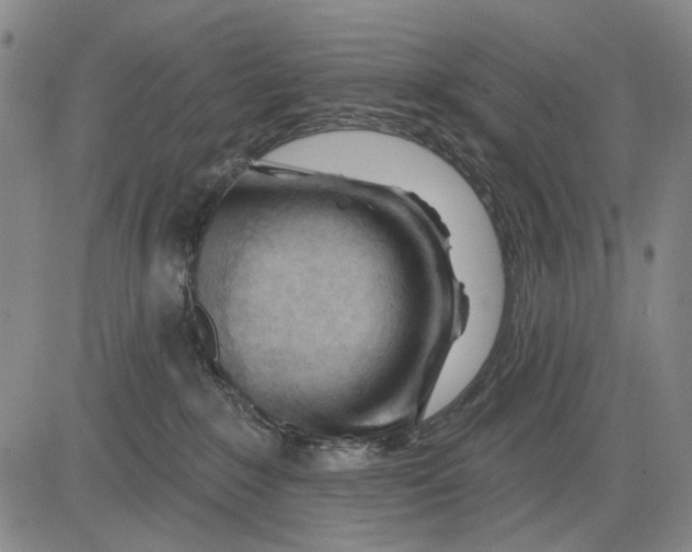 X0000083610235200703051551