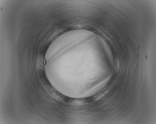 X0000083610236200703051551