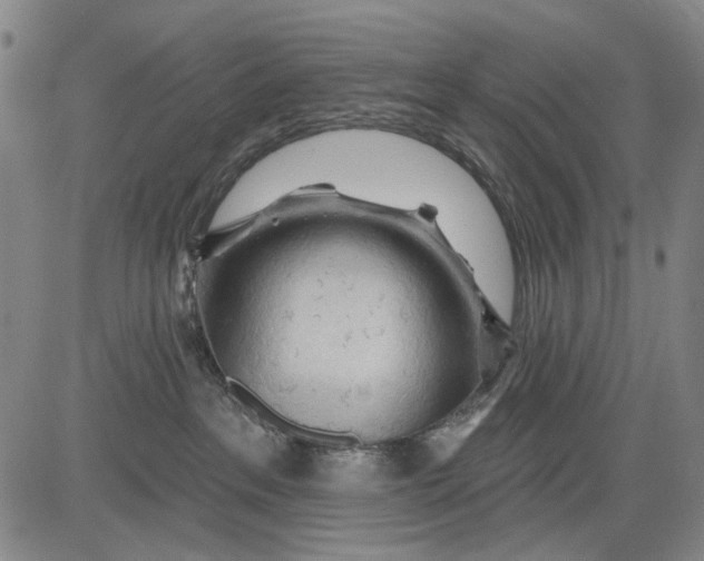 X0000083610237200703051551