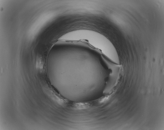 X0000083610239200703051551