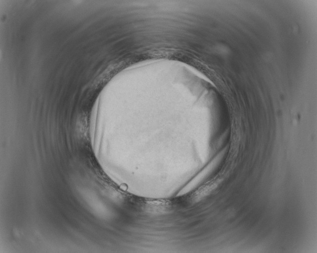 X0000083610240200703051551