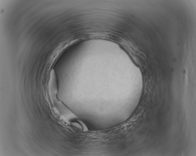 X0000083610241200703051550