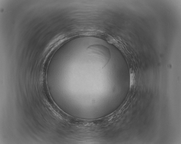 X0000083610243200703051550