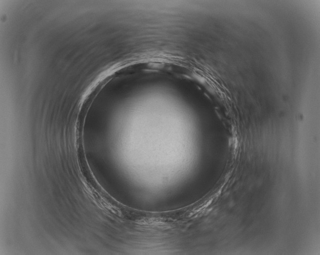 X0000083610244200703051550