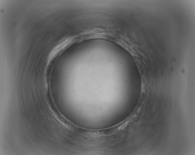 X0000083610245200703051550