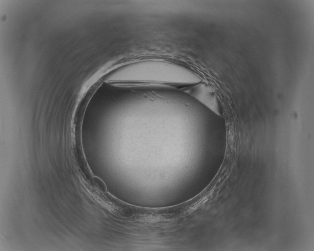 X0000083610246200703051550