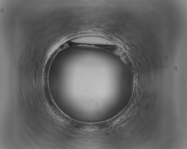 X0000083610248200703051550