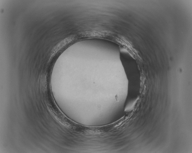 X0000083610250200703051551