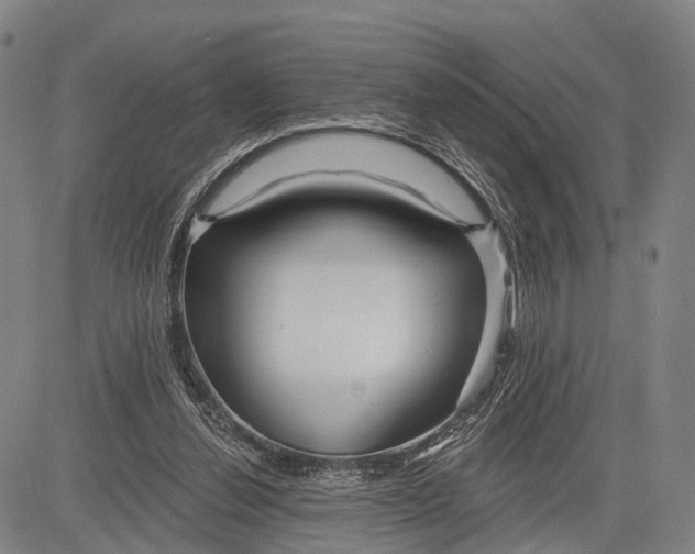 X0000083610252200703051551