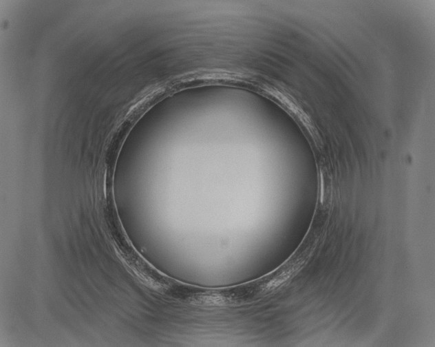 X0000083610253200703051551