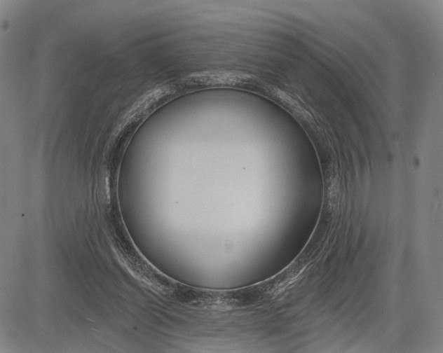 X0000083610254200703051551