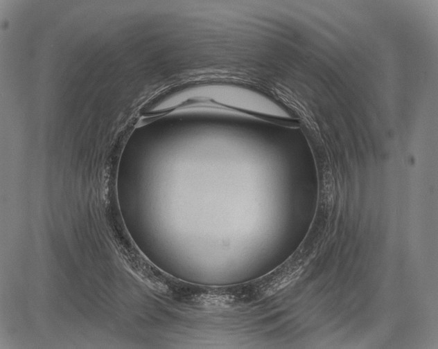 X0000083610255200703051551