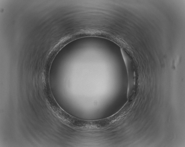 X0000083610256200703051551