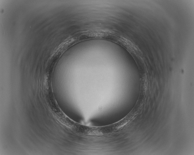 X0000083610258200703051551