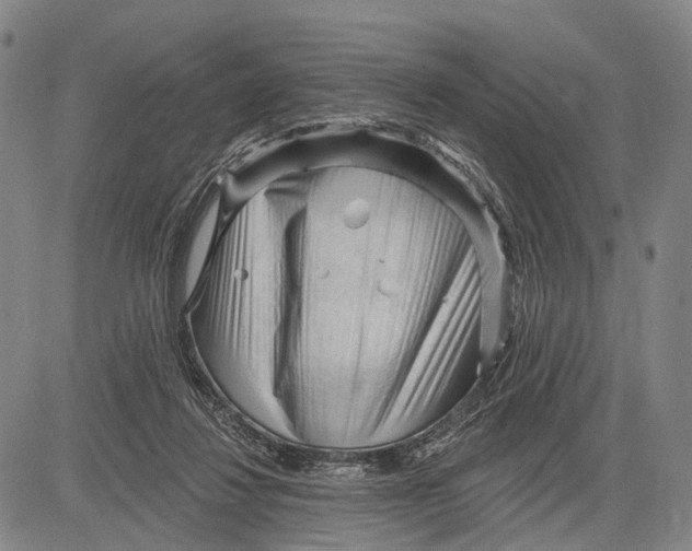 X0000083610260200703051551