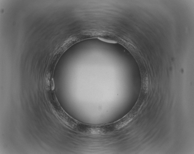 X0000083610264200703051551