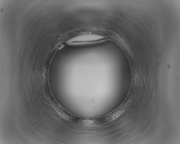 X0000083610265200703051551