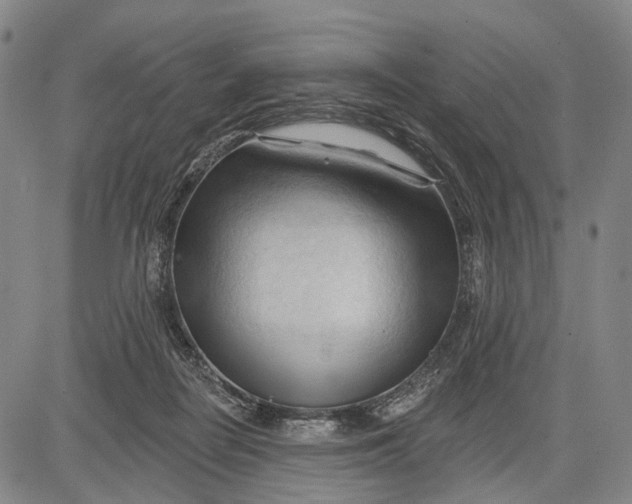 X0000083610266200703051551