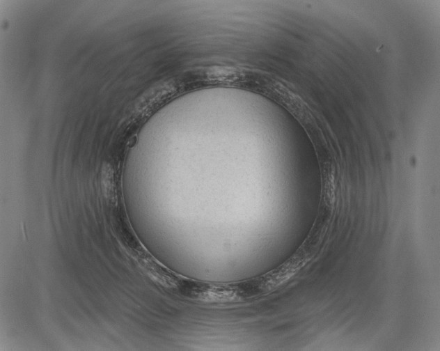 X0000083610270200703051551