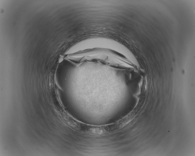 X0000083610272200703051551