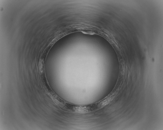 X0000083610273200703051551