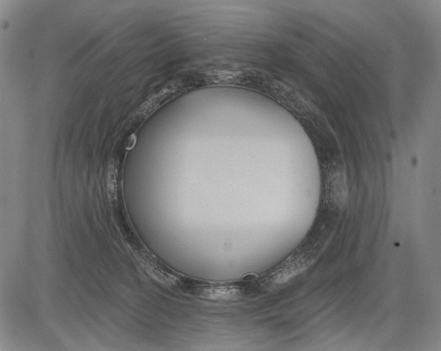 X0000083610274200703051551