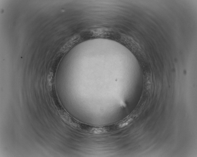 X0000083610275200703051551