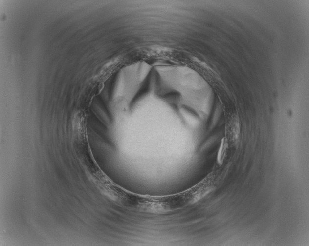 X0000083610276200703051551