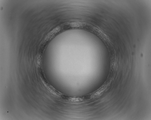 X0000083610277200703051551